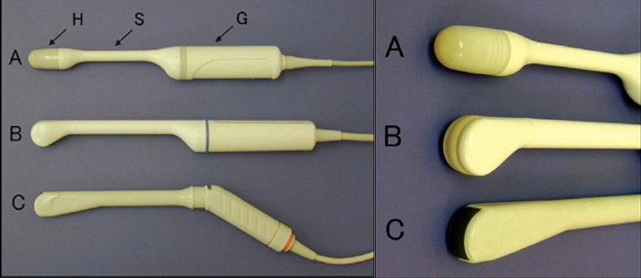 Certificate in Medical Ultrasound cover
